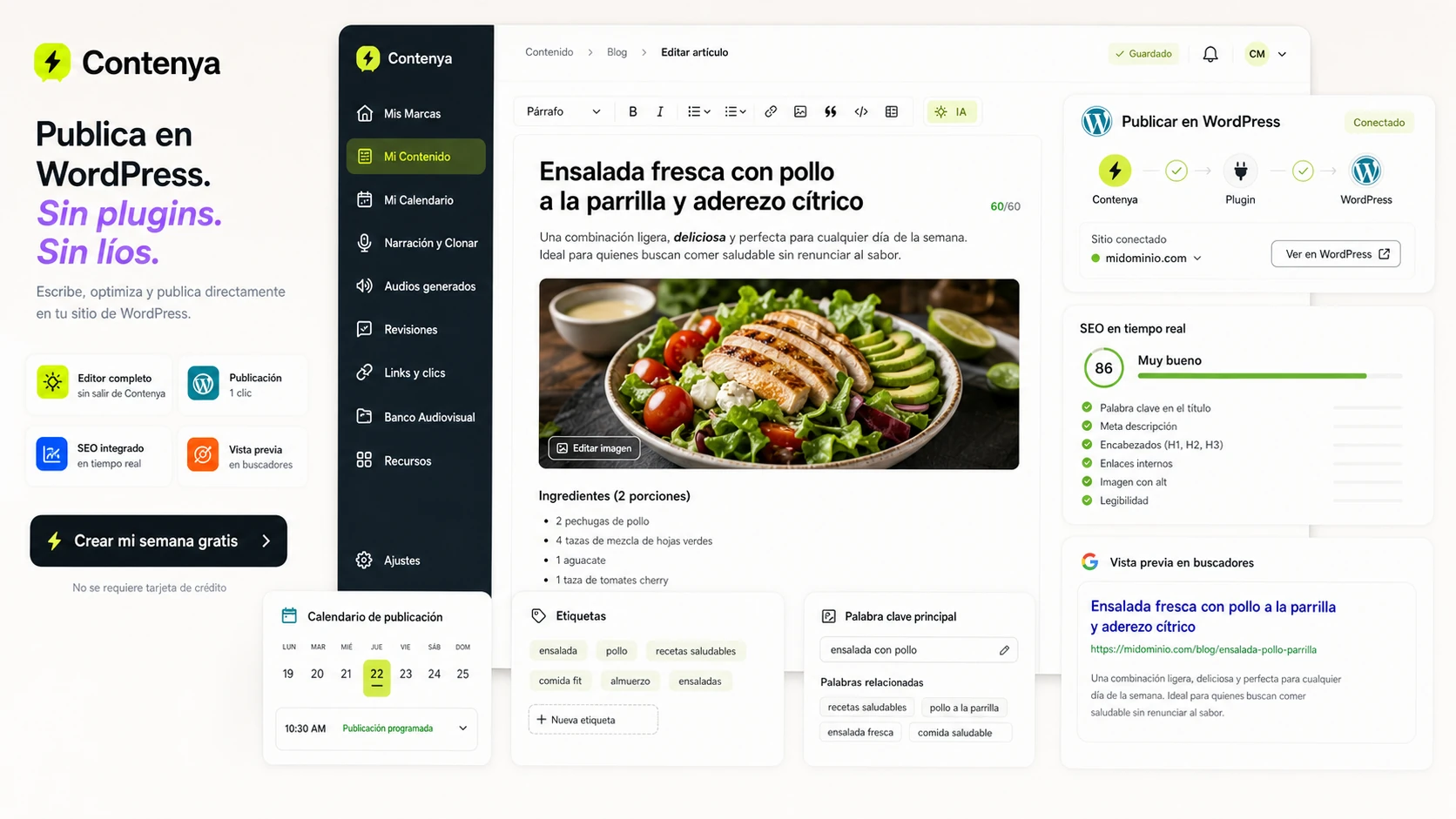 Contenya mostrando un artículo preparado para WordPress